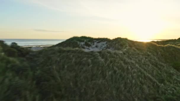 早上5点日出时丹麦沙滩上的草地和沙洲 — 图库视频影像