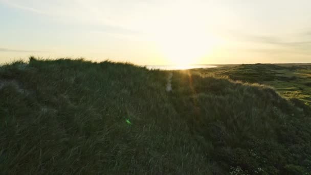 Воздушный наклон из Гроунда, поднимающий яркие солнечные небеса и океанский пляж — стоковое видео