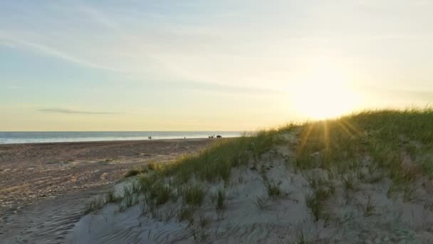 Vue panoramique révélatrice des eaux océaniques et de la côte au bord de la plage au Danemark — Video