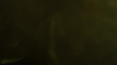 Dijital mercek parlama efekti