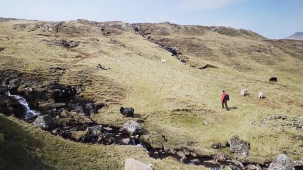 Sunny Cliff and Grasslands and Stream of Water with Man Exploring Scenic Area — Stock Video