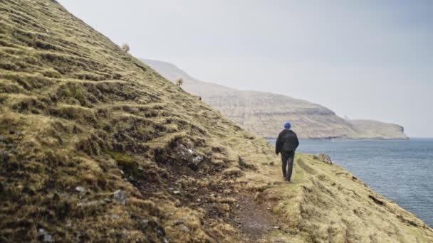 Stadig skott av man Promenader vid foten av en stor klippa på Färöarna — Stockvideo