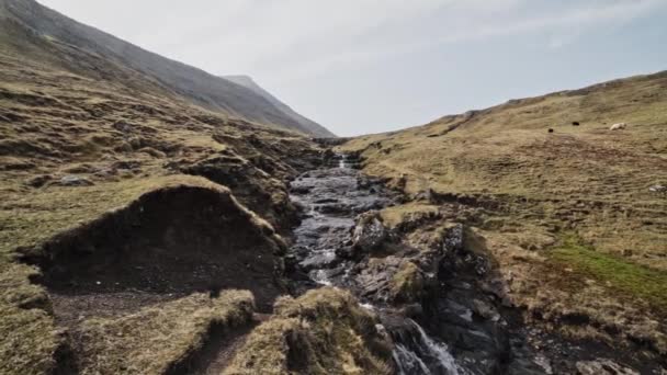 Rocky Stream in Between Cliffs Gelegen in de Faeröer op een zonnige dag — Stockvideo