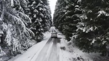 Beyaz Araba Kışın Dolaşıyor - Çevrede Çam Ağaçları