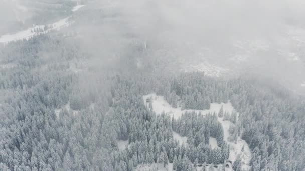 Vue aérienne du haut vers le bas du matin d'hiver brumeux le long de la forêt de montagne — Video