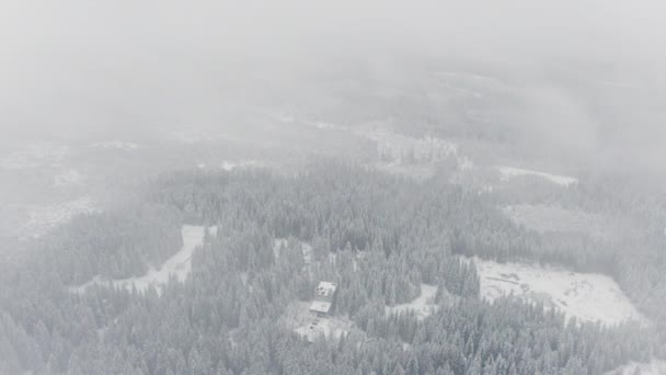 Forêt dans les montagnes en hiver avec le ciel rempli de brouillard épais — Video