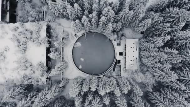 Drohnenblick auf gefrorenen Pool mit Bäumen und schneebedeckter Umgebung — Stockvideo