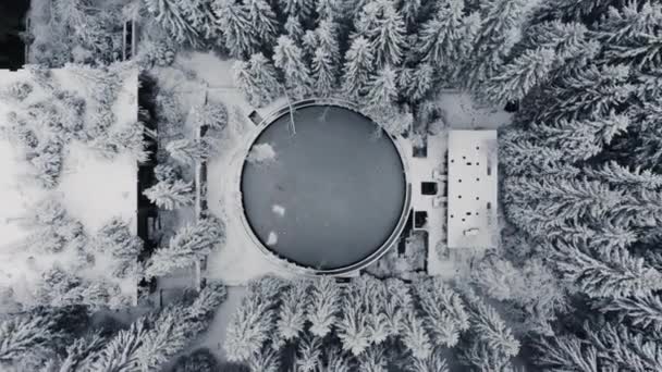 Foto aérea de arriba hacia abajo de casa de vacaciones nevada con pinos que la rodean — Vídeo de stock