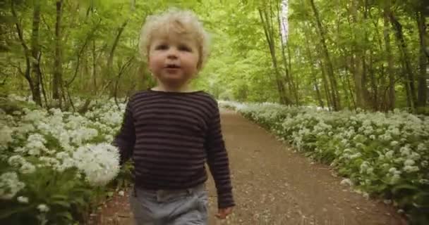 Supersüßes Kleinkind mit pausbäckigen Wangen, das im Wald entlang des Weges läuft — Stockvideo