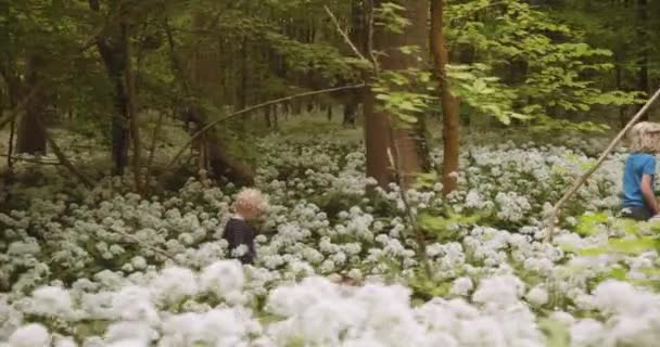 Colpo di bambini esplorare bella foresta lussureggiante con piante da fiore bianche — Video Stock