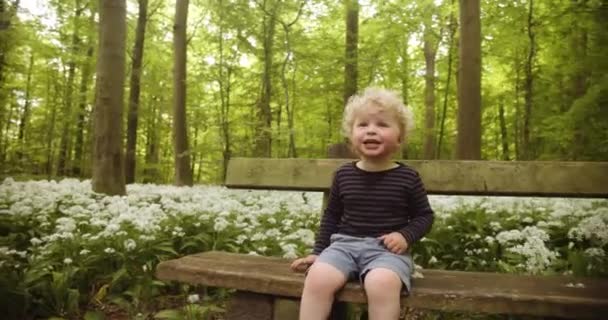 Bedårande och glad Toddler Sitter vid träbänken i skogen — Stockvideo