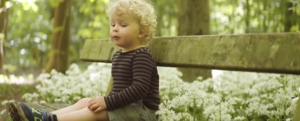 Buclatý malý chlapec sedí u dřevěné lavičky v lese hravě křičí — Stock video