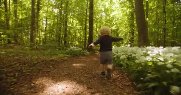 나무들 이 여기저기있는 숲 길을 따라 자유롭게 달리는 남자 아이 — 비디오