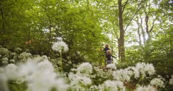 Sourozenci kráčející po nakloněné lesní cestě se svěžími zelenými stromy — Stock video