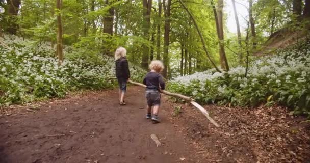 Irmãos Caminhando no Caminho Ajudando uns aos outros Levar um Ramo de Árvore Longa — Vídeo de Stock