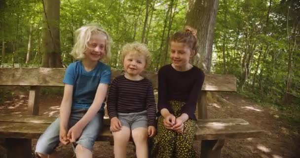 Schattige broers en zussen genietend van outdoor tijd door bos terwijl zittend op een houten bank — Stockvideo