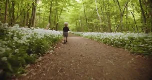 Χαριτωμένο μικρό παιδί τρέχει στο δάσος με λουλούδια στο χέρι — Αρχείο Βίντεο