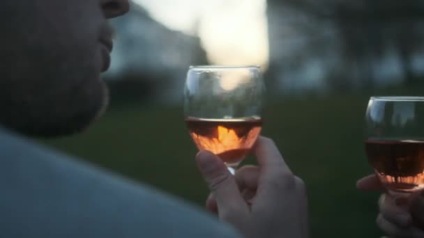 Coppia godendo vino in parco al tramonto — Video Stock