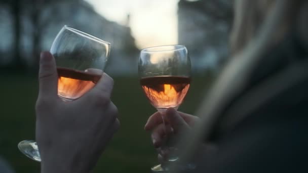 Par skålar med vin i parken vid solnedgången — Stockvideo