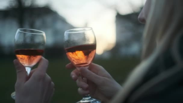 Coppia Tostatura Con Vino In Parco Al Tramonto — Video Stock