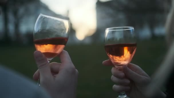 Çiftler kadeh kaldırıyor ve parkta şarap içiyor. — Stok video