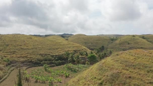 Panoramiczne zdjęcie lotnicze wzgórz Teletubbies na Bali w Indonezji z zachmurzonym niebem — Wideo stockowe