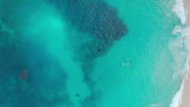 Playa de arena blanca y peces vistos desde arriba a lo largo de aguas turquesas, Bali — Vídeo de stock