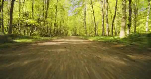 Bospad met weelderige planten en bomen Omgeving van het gebied — Stockvideo