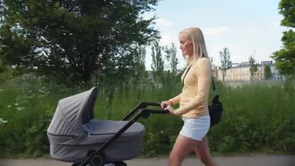 Madre lleva a su hija a dar un paseo mientras empuja el cochecito en el parque — Vídeo de stock