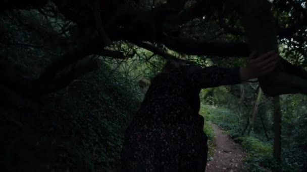 Donna che attraversa il bosco ed esplora la foresta lussureggiante e magica — Video Stock