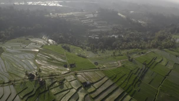 Letecký snímek jasné a mlhavé oblohy podél rýžových teras na Bali — Stock video