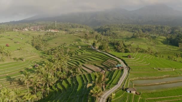 Silhouette de chaîne de montagnes avec une belle vue aérienne sur les terrasses de riz — Video
