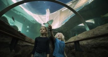 Erkek ve Kız Kardeş Akvaryum Köpek Balığı Tünelinde