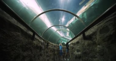 Kardeş ve Kız Kardeş Köpek Balığı Tünelinde