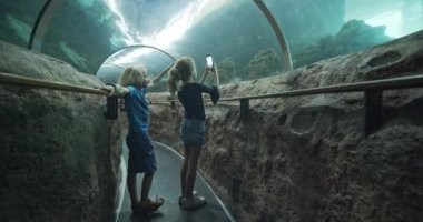 Akvaryumdaki Köpekbalıklarını çekmek için Akıllı Telefon Kullanan Kız