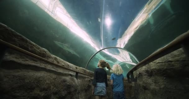 Zuster en broer in haaientunnel Aquarium — Stockvideo