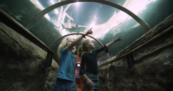 Hermano y hermana en túnel de tiburón — Vídeo de stock