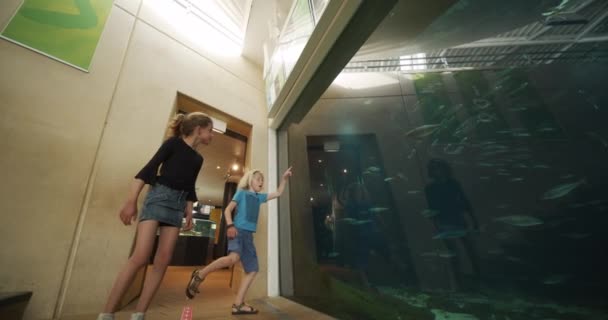 Bratr a sestra procházející akváriem — Stock video