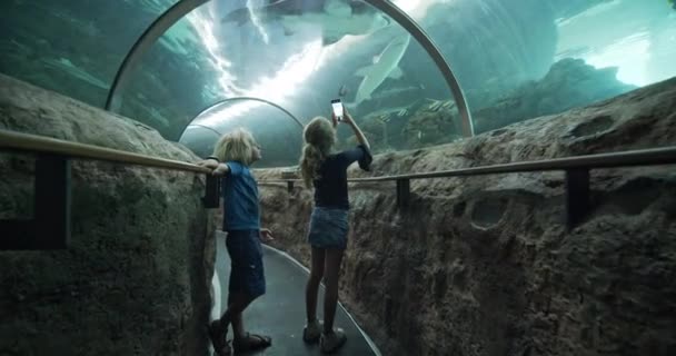 Девушка, использующая смартфон, чтобы снимать акул в аквариуме — стоковое видео