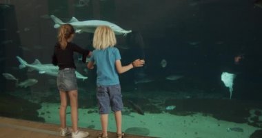 Erkek ve kız akvaryumda balık büyüklüğünde karşılaştırma yapıyorlar.