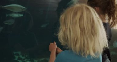 Erkek ve Kız Akvaryumda Yüzen Balıkları Gösteriyorlar