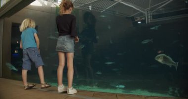 Oğlan ve Kız Akvaryum camına yaslanıyor