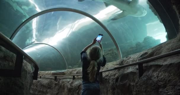 Дівчинка, яка користується смартфоном до фільму акули в акваріумі — стокове відео