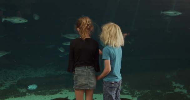 Junge und Mädchen zeigen auf Fische im Aquarium — Stockvideo