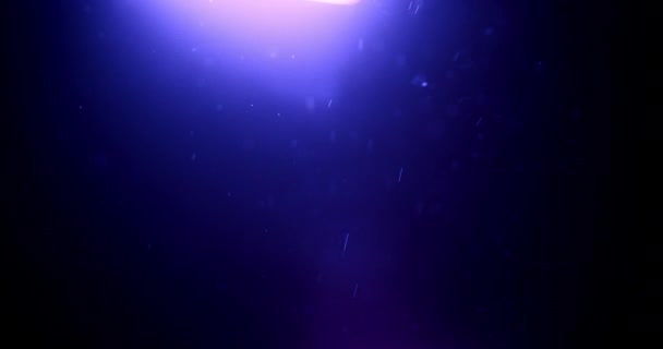 Particules de poussière magiques étincelantes