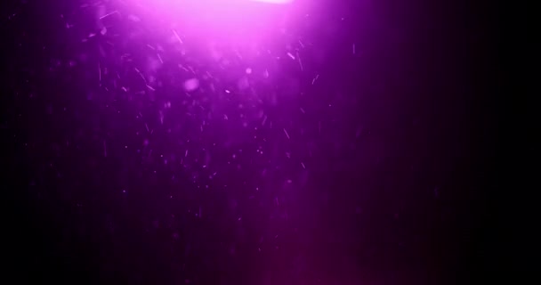 Abstrakter Hintergrund der Teilchen — Stockvideo