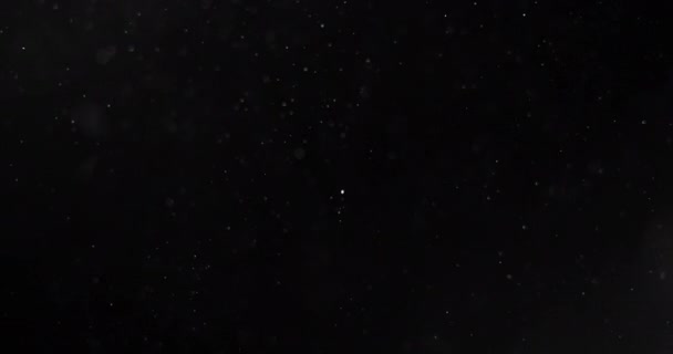 輝く魔法の塵粒子 — ストック動画