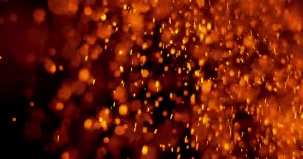 Particle abstract background — Stock Video