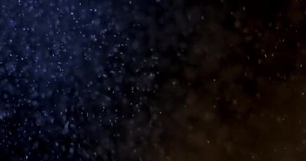 Hermosas partículas de polvo flotante — Vídeo de stock