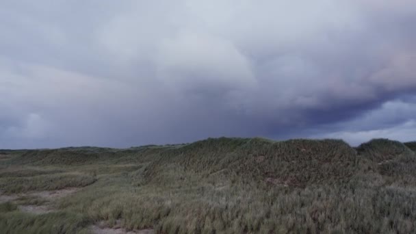 Трава, качающаяся с сильными ветрами на бесконечном горизонте и облачном небе — стоковое видео